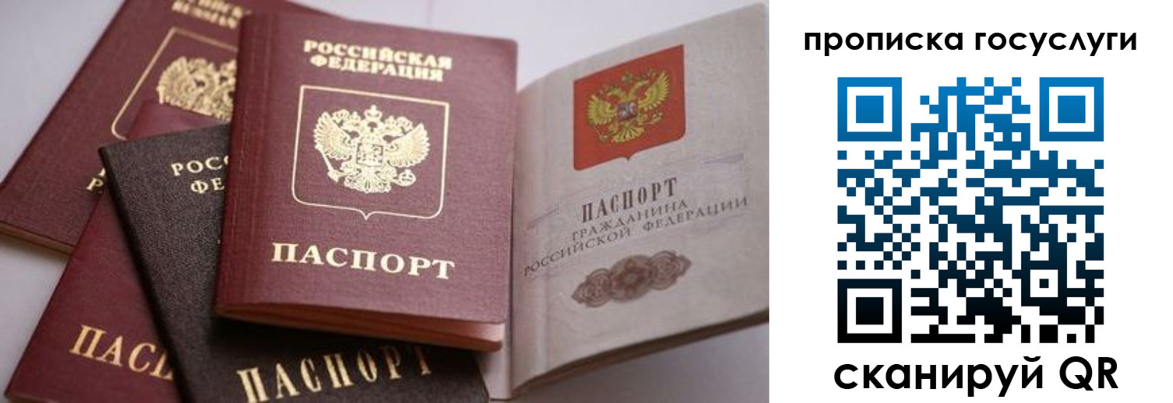 прописка иностранных граждан в Зарайске